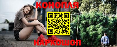 не бодяженный Гай