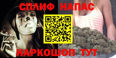 не бодяженный Гай