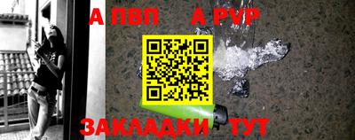 не бодяженный Гай
