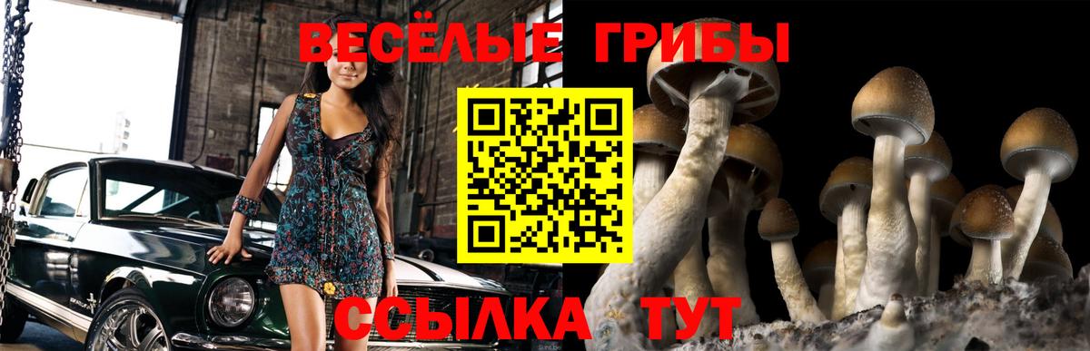Орехово-Зуево  Псилоцибиновые грибы мухоморы  Вход с VPN 